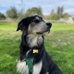 Silas Paso Bryan - @broad.bone - Instagram