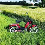 Silas - @silasbuck05 - Instagram