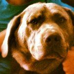 Silas Jack Calhoun - @silasjackcalhoun - Instagram