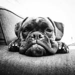 @silas.carpenter.7062823 - Instagram