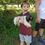 Silas Carpenter - @silas_carpenter_200 - Instagram