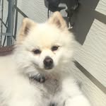 Silas Carr - @silasawsome - Instagram