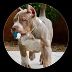 silas castillo - @silascastillo8242 - Instagram