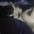 Silas Chambers - Facebook