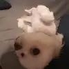 Silas Clark - @silas.clark2 - TikTok