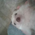 Silas conners - @connerssilas - Instagram