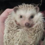 silasconners - @_silas_conners - Instagram