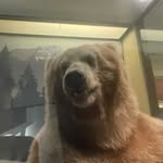 Silas Cooper - @silasgooper - Instagram