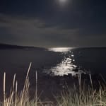 Silas Cross - @silascross.co - Instagram