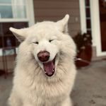 Silas Cunningham - @silasq30 - Instagram