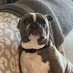 Silas Daugherty - @silasd95 - Instagram
