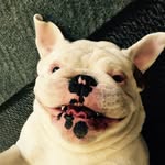 Silas Deane Pawn - @silasdeanepawnshop - Instagram