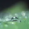 silasdonovan0 - @silasdonovan0 - TikTok