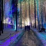 @silas.ford.2506022 - Instagram