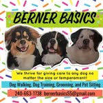 Silas Ford - @bernerbasics - Instagram