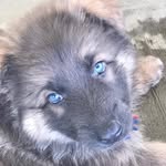 silas gardner - @silas_gardner - Instagram