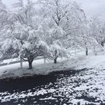 Silas Gentry - @gentry.silas - Instagram