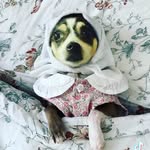 Silas Walden - @silasglover10 - Instagram