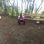 Silas gray Gdog - @silasgraygdog - Instagram