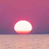 Silas Griffith - @silas.griffith - TikTok