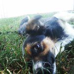 Silas Griffith - @darthustcom - Instagram