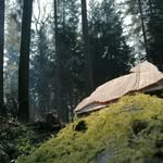 Silas Grossenbacher - @silasgrossenbacher - Instagram