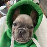 Yo my guy silas - @my_guy_silas - Instagram