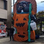 Silas Haley - @silas.haley - Instagram
