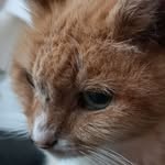 silashansongregersen - @silasgregersen - Instagram