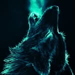 Silas Harrison - @wolfpackproduckshins - Instagram