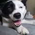 Silas Howell - Facebook