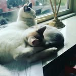 silas jensen - @silasjensen657 - Instagram