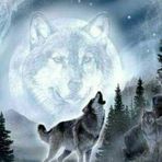 Silas Kidd - Facebook