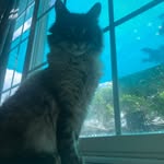 Silas Klinefelter - @silasklinefelter - Instagram