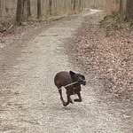 Silas Knapp - @silasknapp2008 - Instagram