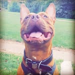 Silas Lamache - @silaslamache - Instagram