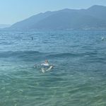 Silas - @silas_lamm - Instagram