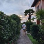 Silas - @silas.lang_ - Instagram