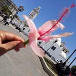sila silina - @sila.slin - Instagram