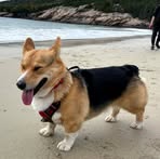 Silas Lin - Facebook