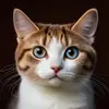 Silaslin - @cat.fan.silaslin - TikTok