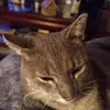 Silas Lopez - @silas.lopez3 - TikTok