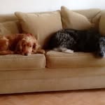 Silas -luna - @luna.silas - Instagram