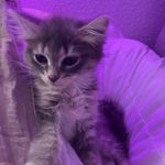 Silas luna - @silasluna20 - Instagram