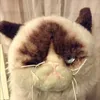 Silas_Lynch - @silas_lynch - TikTok