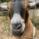 Silas Lynn - @silaslynn08 - Instagram
