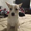 Prisila😍👀 - @prisila.smackz1 - TikTok