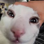 Silas Perez - @instainsta720 - Instagram
