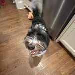 Silas Phillips - @silas._.phillips - Instagram