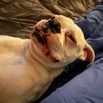 Silas shaffer - @silas69005 - Instagram